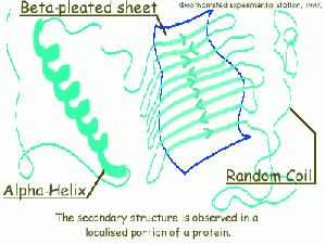 Secondary structure - CMBIwiki
