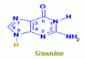 Guanine.png